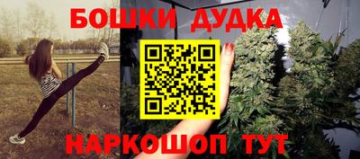 apvp Гусев