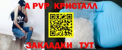 apvp Гусев